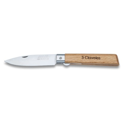Pocket knife with tip and blade lock 2