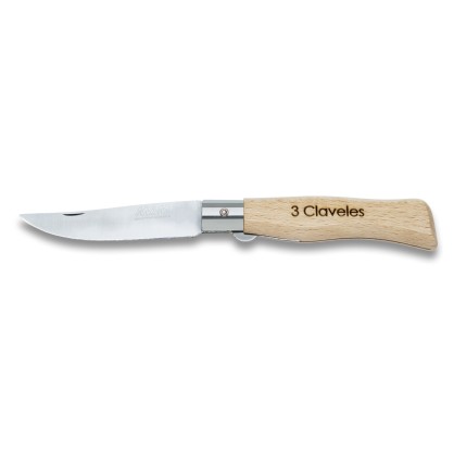 Pocket Knife with blade lock 2