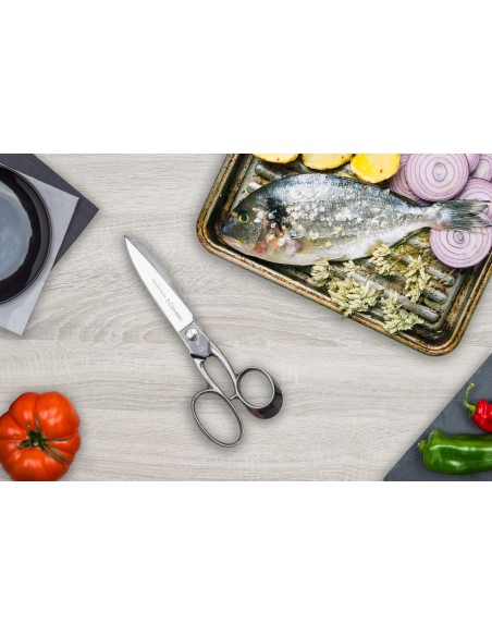 Ciseaux Cuisine Professionnel