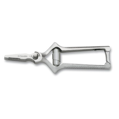 Masticateur Droit