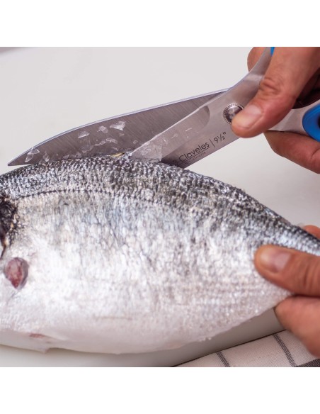 Large Kitchen - Fish Shears