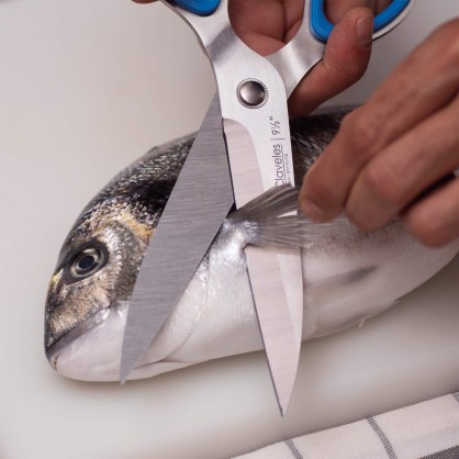 Ciseaux Cuisine - Poisson Large 2
