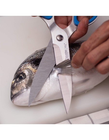 Large Kitchen - Fish Shears