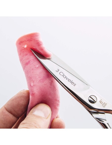 Star Kitchen Shears