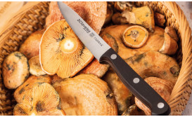 Paring Knives