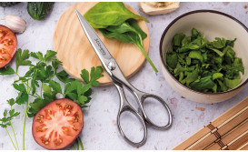 Professional scissors