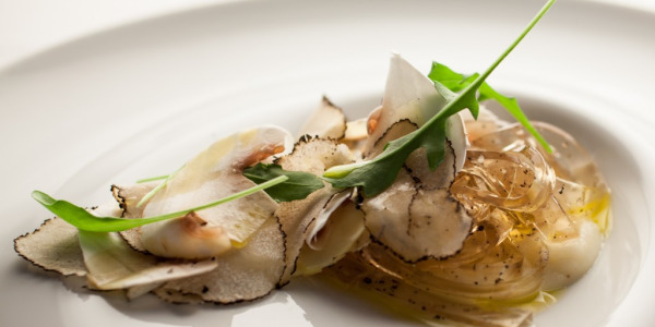 Setas y trufa: combinaciones en platos gourmet
